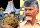 రామ మందిరం కార్యక్రమంలోను తిరుపతి లడ్డూలు పంపిణీ చేశాం : ఆచార్య సత్యేంద్ర దాస్