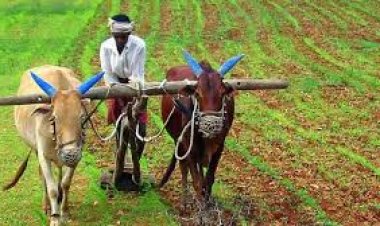 గో ఆధారిత వ్యవసాయం తోనే ఆరోగ్యవంతమైన సమాజ నిర్మాణం