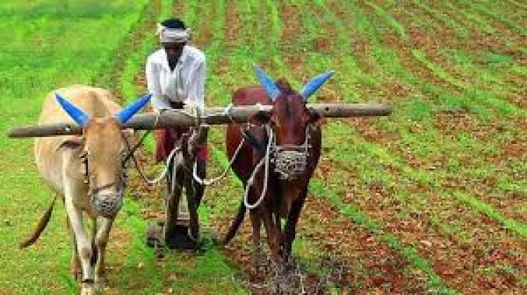 గో ఆధారిత వ్యవసాయం తోనే ఆరోగ్యవంతమైన సమాజ నిర్మాణం