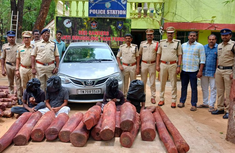 చంద్రగిరిలో నలుగురు స్మగ్లర్లు అరెస్టు