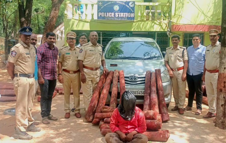 రూ. 20 లక్షల విలువైన 24 ఎర్రచందనం దుంగలు స్వాధీనం