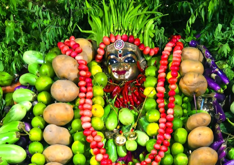 ఇంద్రకీలాద్రిపై శాకాంబరీ ఉత్సవాలు ప్రారంభం