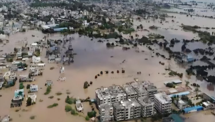 భారీ వర్షాలు కురియడంతో విదర్భ రీజియన్‌లో ఎనిమిది మంది మృతి