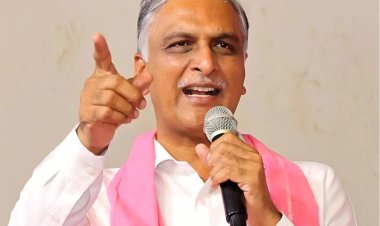 కేసీఆర్ ను తిట్టుడే రేవంత్ పని : హరీష్ రావు